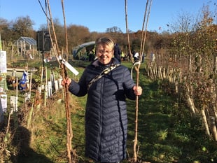 And a purchase of a pear tree: Petersfield group's fruit tree offer