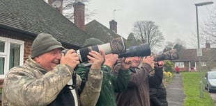 Birdwatchers flock to Farnham to celebrate return of rare waxwings