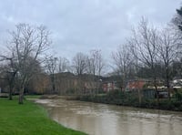 Cocktail of harmful chemicals in the River Wey Catchment