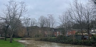 Cocktail of harmful chemicals in the River Wey Catchment