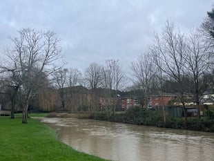 Cocktail of harmful chemicals in the River Wey Catchment