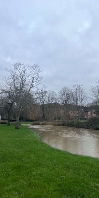 The swollen River Wey at Gostrey Meadow, Farnham