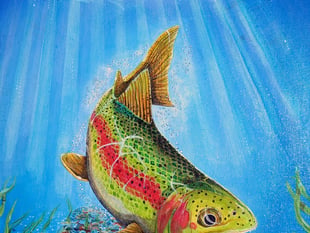 Exhibition by Alton Art Society Thursday Paint Group at Allen Gallery