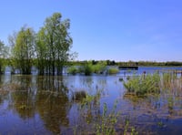Plans for McDonald's near nature reserve rejected