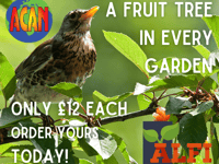 A fruit tree for every Alton garden at less than half price
