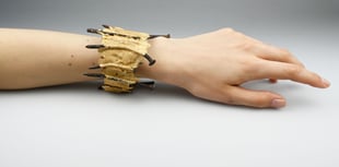 Farnham creator receives award nomination for jewellery of rusty nails