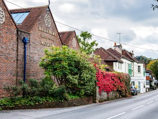 Haslemere museum to host The Twitchers half-term family wildlife trail