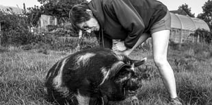 Portraits of Contemporary Farming Life coming to Rural Life museum