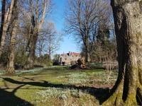 Chawton House hosts second Snowdrop Spectacular on Sunday 