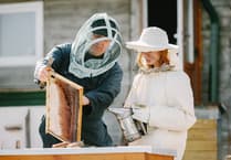 A real buzz: Introduction to beekeeping course at Petersfield community centre