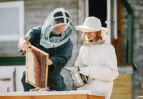A real buzz: Introduction to beekeeping course at community centre