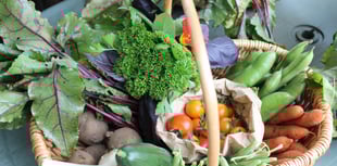 Farnham Community Farm: Forgot the roses? Make it up to her with veg!