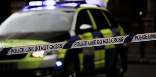 Wave of Easter Monday car crime in Four Marks and Medstead