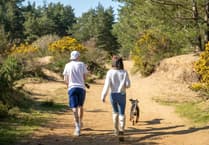 Family duathlon is perfect fit for Bordon beauty spot