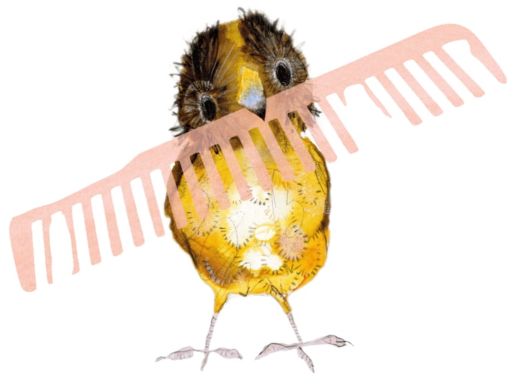 Gruffalo author Julia Donaldson got the idea for her Bowerbird story from a programme by David Attenborough about bowerbirds and discovered how they collected enticing objects – and sometimes stole from one another