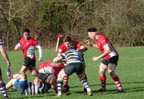 Seventeen matches without defeat as Petersfield rugby club march on