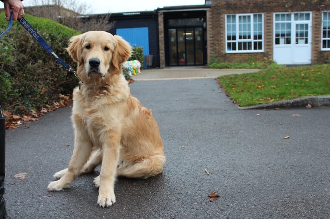 Stanley outside his new workplace at Treloar School and College.