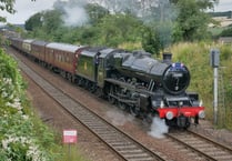 Two guest engines for Spring Steam Gala at Watercress Line