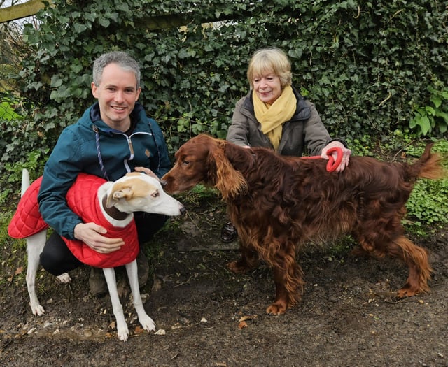 Lots of waggy tails as 50 dog walkers support struggling families