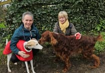 Lots of waggy tails as 50 dog walkers raise £750 to support struggling families