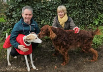 Lots of waggy tails as 50 dog walkers support struggling families