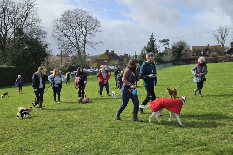 Dog walkers, Bighton, March 2024.