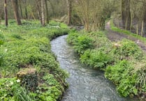 River Wey full of 'pooh sticks' after Easter Sunday sewage discharges
