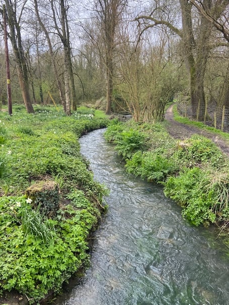 The River Wey at Upper Neatham Mill Farm in Holybourne pictured just hours before the latest raw sewage discharge on Easter Sunday