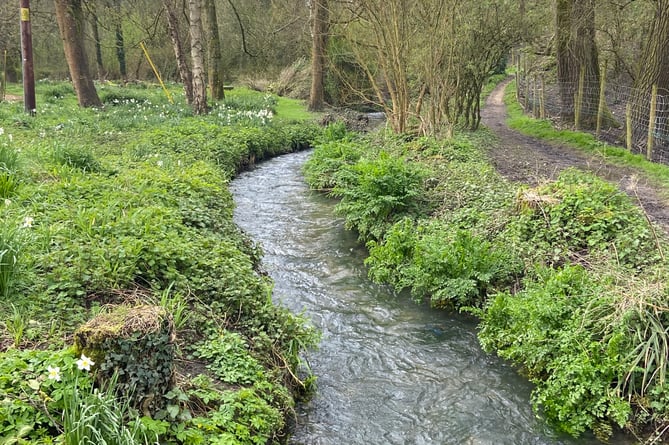 The River Wey at Upper Neatham Mill Farm in Holybourne pictured just hours before the latest raw sewage discharge on Easter Sunday