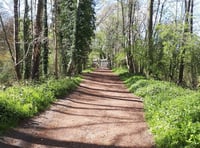 Nature calls: Learn more about East Hants river at Liss event