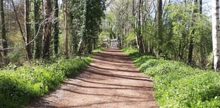 Nature calls: Learn more about East Hants river at Liss event