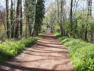 Nature calls: Learn more about East Hants river at Liss event