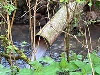 'Rishi should remember his Hampshire roots and protect our rivers...'