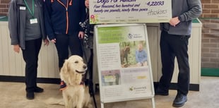 Haskins Forest Lodge backs Dogs for Autism as its charity of the year