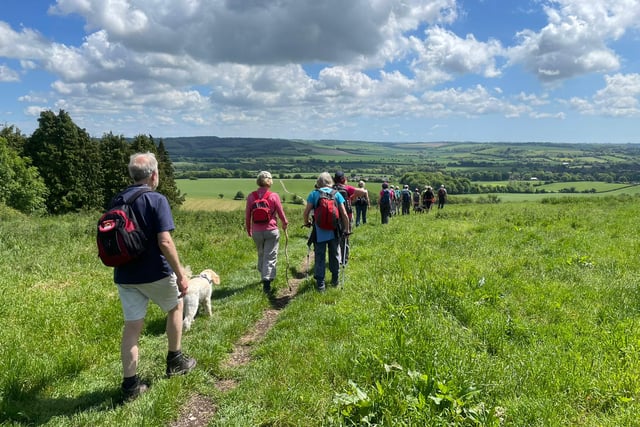 Book now to secure a place in the Alton Autumn Walking Festival