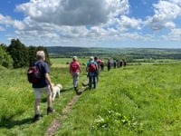 Book now to secure a place in the Alton Autumn Walking Festival