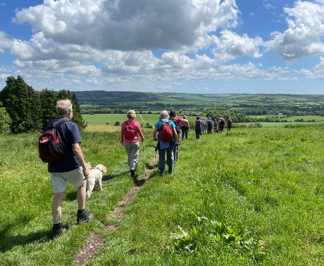 Twelfth year of Alton's popular walking festival to kick off this May