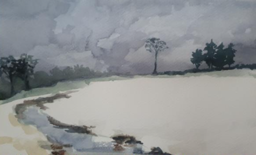 Nature watercolour painting course proves very popular