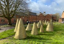 Where have they cone? Controversial art installation removed from central Farnham