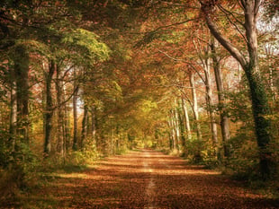 South Downs photography competition returns with £100 top prize