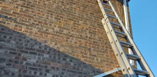 Chance to learn about birds which only land to nest