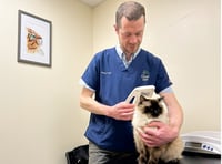 Cat owners may face £500 fine