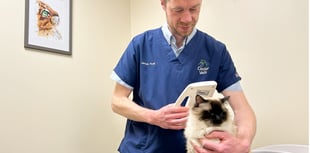 Cat owners may face £500 fine