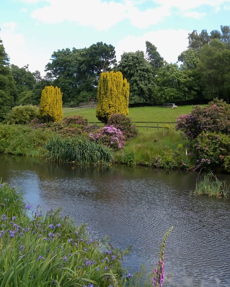 The River Wey runs through the gardens