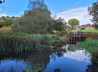 Chance to do conservation work at Flood Meadows in Alton