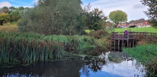 Chance to do conservation work at Flood Meadows in Alton