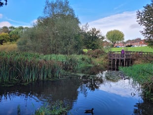 Chance to do conservation work at Flood Meadows in Alton