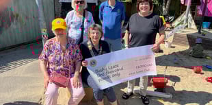 Raising money is child's play as Lions hand over £1k cheque