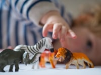 Fewer places in children's homes in Hampshire