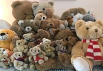 Bear necessities: teddy bear tombola among highlights of Holybourne summer fete